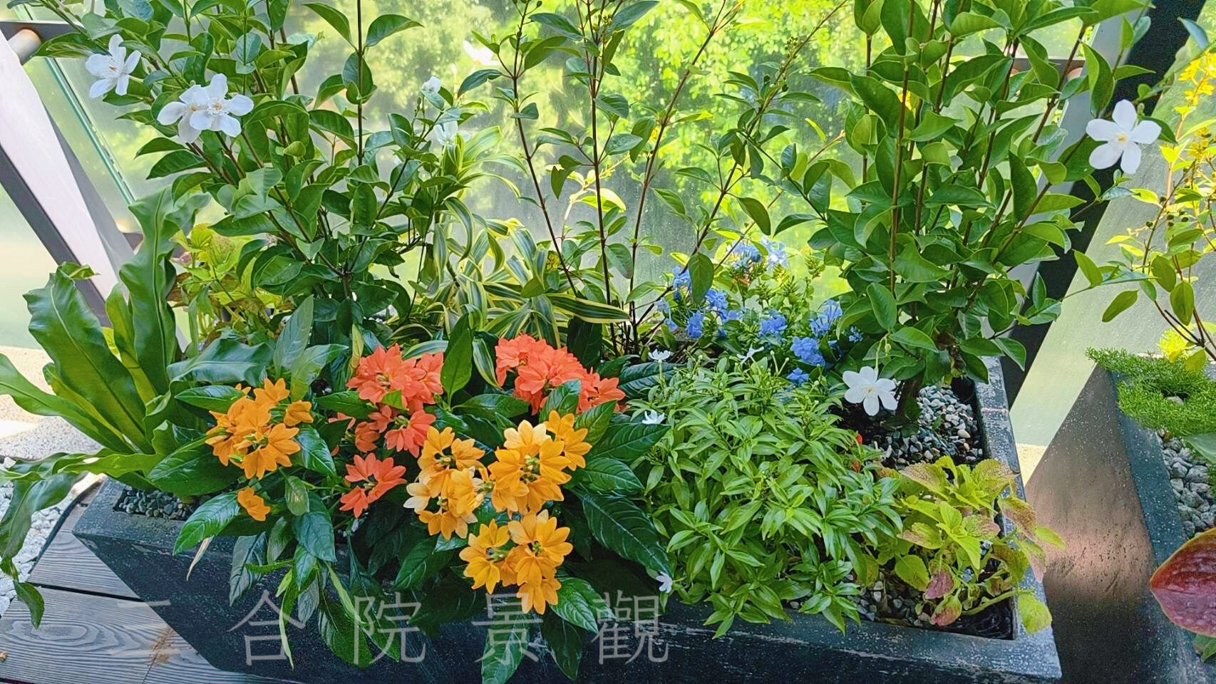 2026年6月 士林區 私宅景觀整合工程